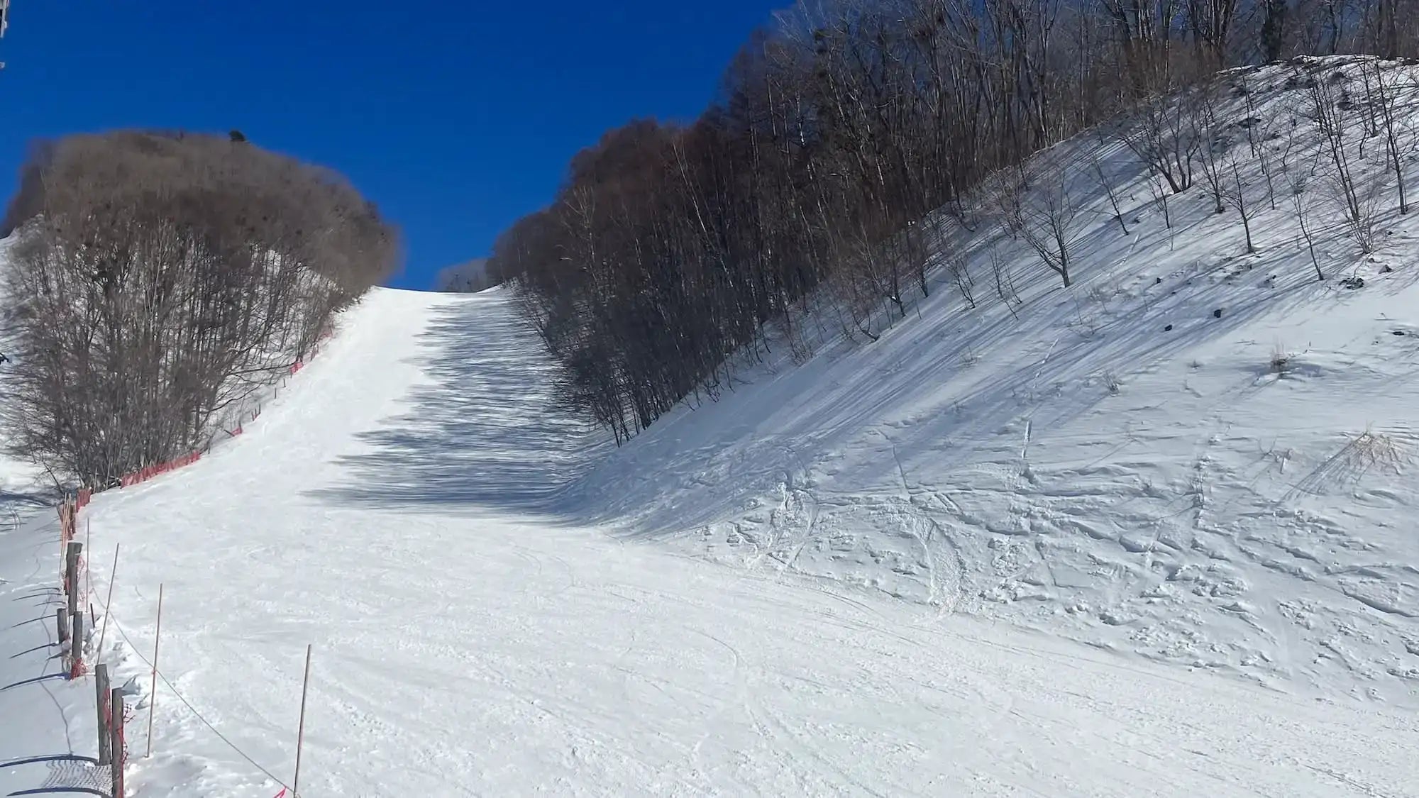 デフォルト画像 1