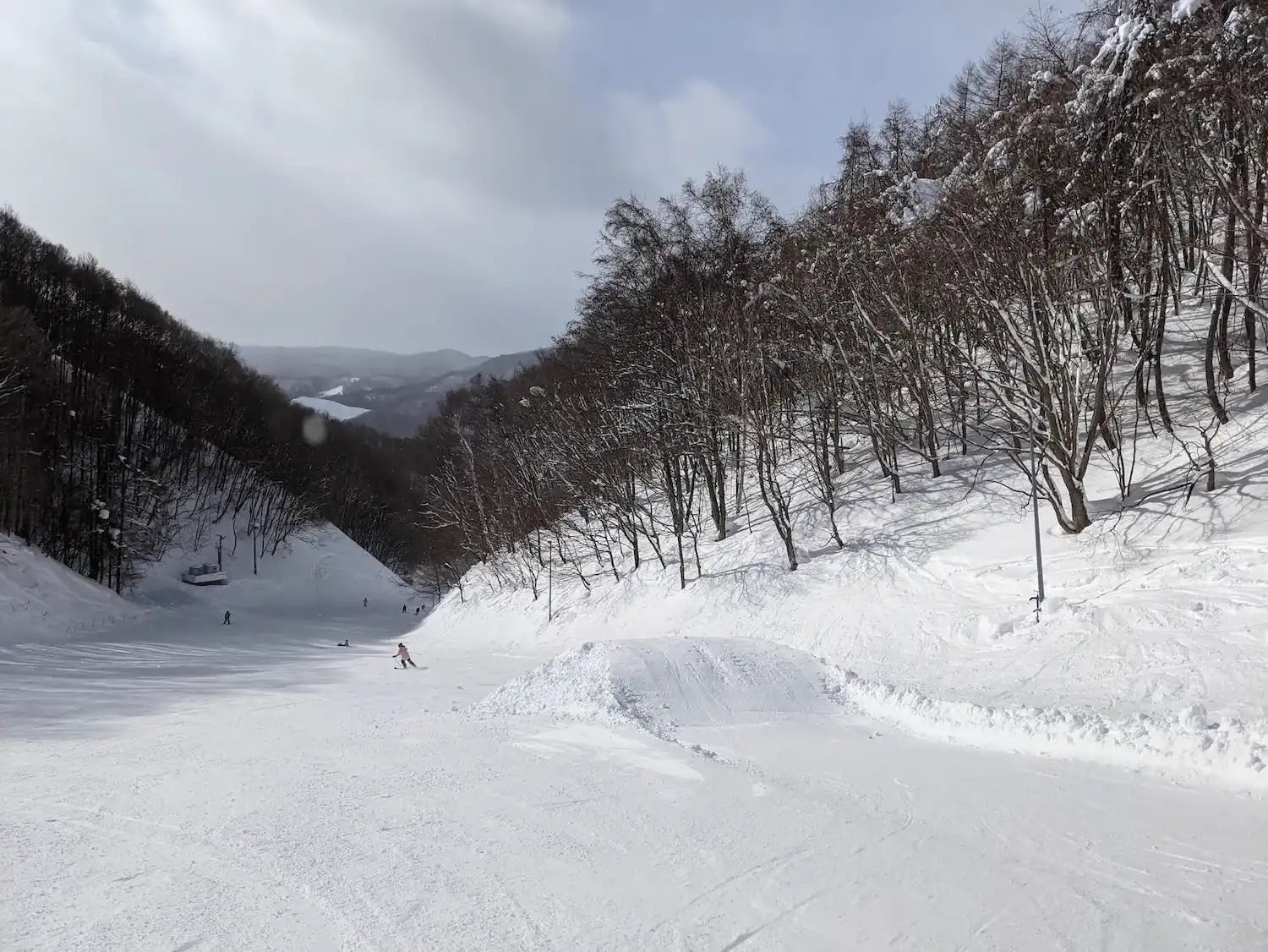 デフォルト画像 3